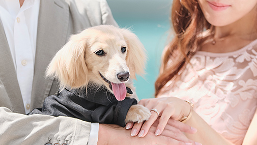 愛犬と一緒に　プロポーズ with DOGプラン