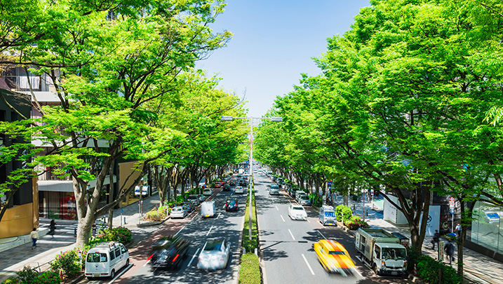 東京の表参道