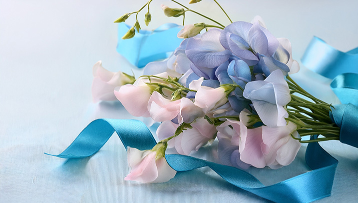 プロポーズ　スイートピー