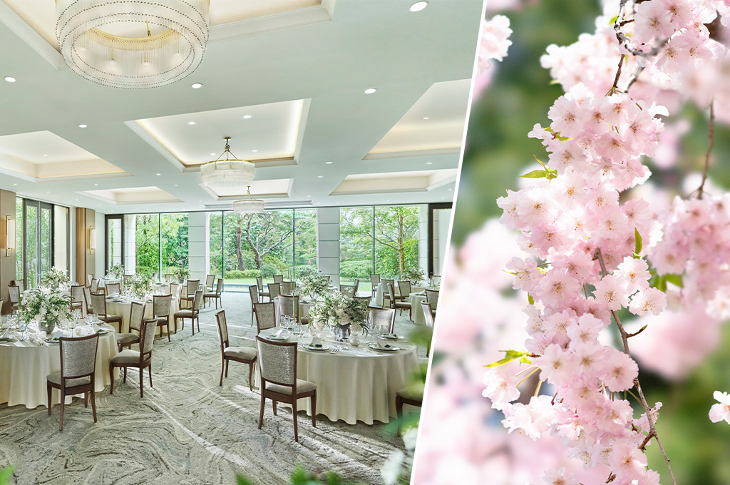 /restaurant/wordpress/wp-content/uploads/2025/02/オックス桜.jpg