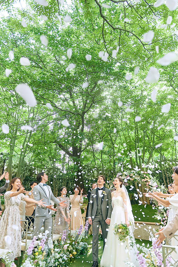 ザ・ツリー The Tree